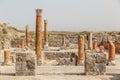 Ruins of the ancient Roman town Bulla Regia Royalty Free Stock Photo