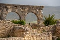 Ruins of the ancient Roman town of Volubilis in Morocco Royalty Free Stock Photo