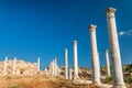 Ruins of ancient Salamis city. Famagusta district. Cyprus