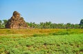 The ruins of the shrine, Ava, Myanmar Royalty Free Stock Photo