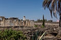 Ruins of ancient synagogue in Capernaum - Israel Royalty Free Stock Photo