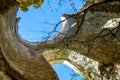 ruins of an ancient temple. A place to worship and veneration the spirits of the dead