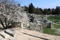 Ruins of Ancient Theatre In Chersonesos Royalty Free Stock Photo