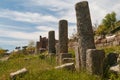 Ruins of the ancient town Labranda