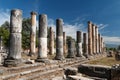 Ruins of the ancient town Nysa on the Maeander