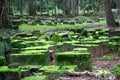 Ruins of Angkor Wat