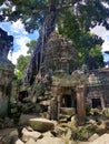 Ruins of Angkor Wat, Hindu temple complex in SIEM REAP, CAMBODIA Royalty Free Stock Photo