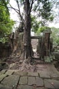 Ruins in Angkor Wat