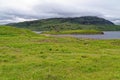 The ruins of Ardvreck Castle at Loch Assynt in Scotland Royalty Free Stock Photo