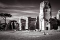 The ruins of the Baths of Caracalla, Rome