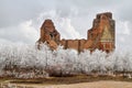 The ruins of the Benedictine monastery of Araca. Royalty Free Stock Photo