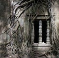 Ruins of Beng Mealea, Angkor, Cambodia Royalty Free Stock Photo