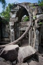 Ruins of Beng Mealea, Angkor, Cambodia Royalty Free Stock Photo