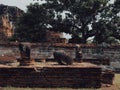 Ruins of Buddha figure in sitting poses at Ayutthaya Historical park, Thailand.