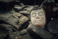 Ruins of an Buddha Image Headl at Phutthaisawan Temple in Ayuthaya Historical Park, UNESCO World Heritage Site