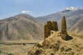 Ruins of buddhist shrines