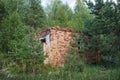 Ruins of a building abandoned in the forest Royalty Free Stock Photo