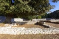 Ruins of the Byzant Kastrum on Brijuni Royalty Free Stock Photo