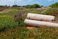 Ruins in Caesarea Israel Royalty Free Stock Photo