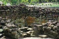 The ruins of candi sumbernanas (sumbernanas temple, candi bubrah)