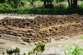 The ruins of candi sumbernanas (sumbernanas temple, candi bubrah)