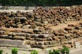 The ruins of candi sumbernanas (sumbernanas temple, candi bubrah)