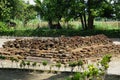 The ruins of candi sumbernanas (sumbernanas temple, candi bubrah)