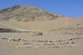 Ruins in Caral-Supe, Peru Royalty Free Stock Photo