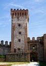 Ruins of the Carrarese Castle in Este. Padua, Italy