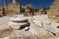 Ruins of Carthage Royalty Free Stock Photo