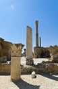 Ruins of Carthage Royalty Free Stock Photo