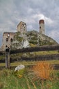 Ruins of a medieval castle, Olsztyn near Czestochowa, Silesia, Poland