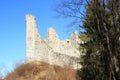 Ruins of castle Castel Romano Royalty Free Stock Photo