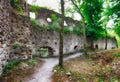 Ruins Of Castle Dobra Voda - Slovakia