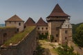 Ruins of the castle of Lipnice nad Sazavou