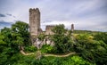 Ruins of a castle in Momjan, Istria, Croatia