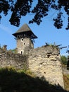 The ruins of the castle Nevitske