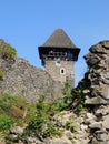 The ruins of the castle Nevitske