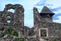 Ruins Castle Nevitsky Transcarpathia Ukraine