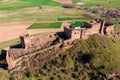 Ruins of Castle of Riba de Santiuste from above