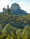 Ruins of the castle of Roquemartine also called castle of Queen Jeanne near Eyguieres in the Alpilles in Provence in France