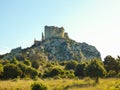 Ruins of the castle of Roquemartine also called castle of Queen Jeanne near Eyguieres in the Alpilles in Provence in France