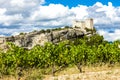 ruins of castle in Vaison-la-Romaine with vineyard, Provence, Fr