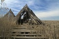 Ruins of a celtic village at Comana park