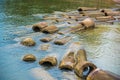 The ruins Cement pipe on the sea in sunset time.Beautiful seascape.Thailand