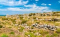 Ruins of Chersonesus, an ancient greek colony. Sevastopol, Crimea Royalty Free Stock Photo