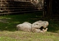 Ruins of Chichen Itza pre-Columbian Mayan city. Mexico Royalty Free Stock Photo