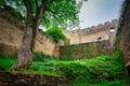 Ruins of the Chojnik Castle in Karkonosze mountains. Poland Royalty Free Stock Photo