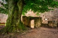 Ruins of the Chojnik Castle in Karkonosze mountains. Poland Royalty Free Stock Photo