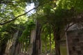 The ruins of the church of St Dunstan-in-the-East